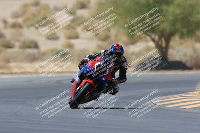 media/May-14-2023-SoCal Trackdays (Sun) [[024eb53b40]]/Turn 5 Tree of Life (1125am)/